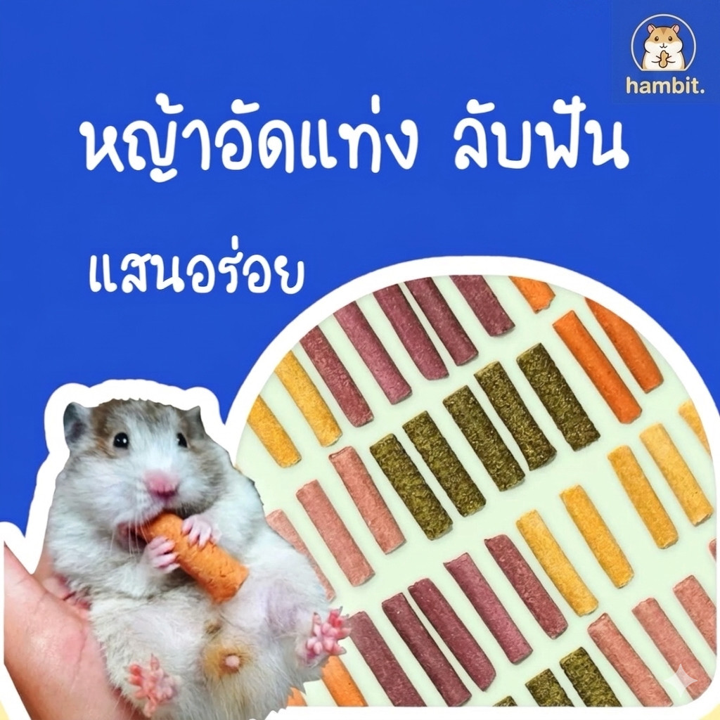 Hambit. หญ้าอัดแท่งลับฟัน ขนมสัตว์เลี้ยงเอ็กโซติก ขนมกระต่าย ชินชิลล่า แกสบี้ แฮมสเตอร์ หญ้าทิมโมธี อัลฟาฟ่า แดนดิไลออน