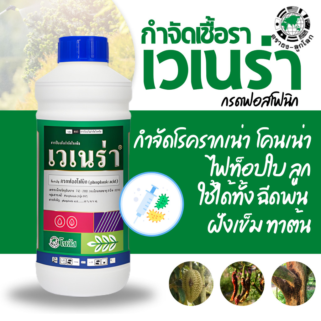 [2ขนาด] เวเนร่า กรดฟอสโฟนิค 40%SL สารป้องกันกำจัดโรคพืช สามารถดูดซึมได้ทั้งทางใบและราก โฟลิอาร์ฟอส แกรนด์ฟอส น้ำใส