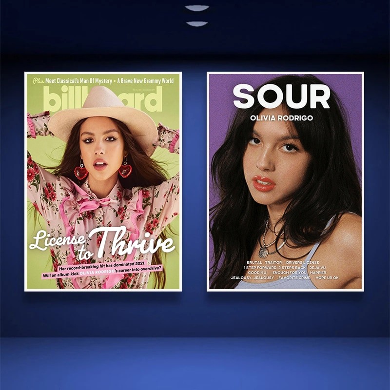 Olivia Rodrigo นักร้องโปสเตอร์,นิตยสารปกเปรี้ยว/ใบอนุญาตขับรถผ้าใบศิลปะ,เหมาะสําหรับห้องนอน,บาร์,คลั