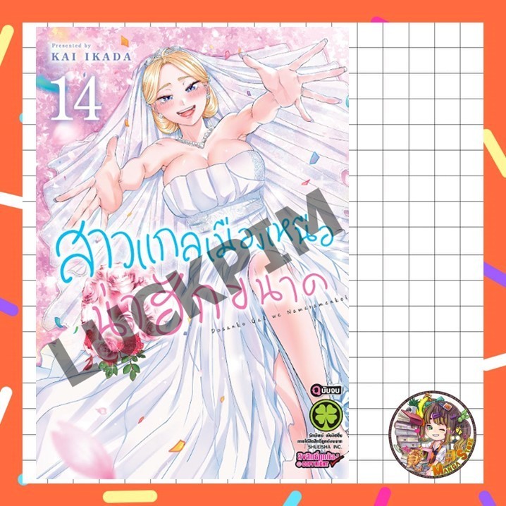 สาวแกลเมืองเหนือน่าฮักขนาด New Edition เล่ม 1-14 จบ  มือ1