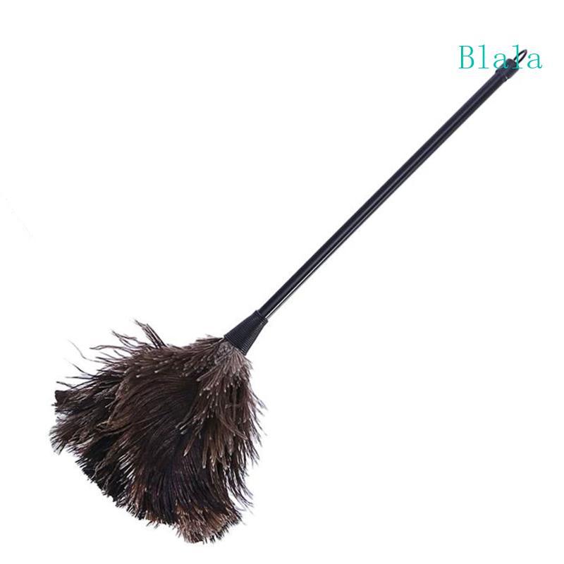 Ostrich Duster Feather Cleaning Brush with Long Handle Computer Dust Removal