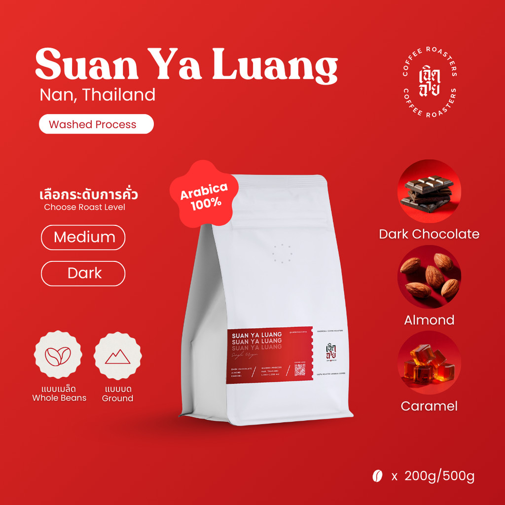 เมล็ดกาแฟสวนยาหลวง Washed Process จากจังหวัดน่าน เมล็ดกาแฟคั่วอาราบิก้า Cherdchai Coffee Roasters