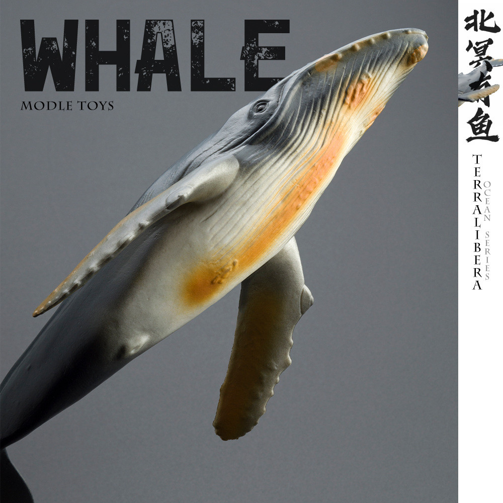 ขนาดใหญ่สมจริงสัตว์ทะเลรุ่นของเล่นปลาวาฬ Beluga Orca Blue Whale Grey Whale Kids Ocean Creature ของเล่นความรู้ความเข้าใจ