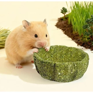 Hambit. ถ้วยหญ้า Timothy ลับฟัน แทะเพลิน 🦷 มี 3 รสชาติ (มันม่วง/ฟักทอง/หญ้า) สำหรับแฮมสเตอร์ กระต่าย แกสบี้