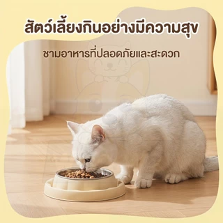 wen.W2 สัตว์เลี้ยงชามเดี่ยวสแตนเลสชามชามแมว 2 ใบป้องกันการรั่วซึมสุนัขถ้วยแมวคว่ำชามชามสัตว์เลี้ยงสุนัข