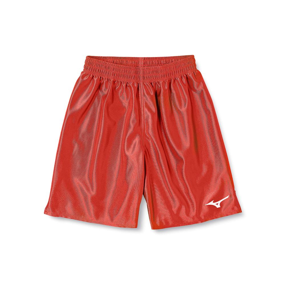 Mizuno Soccer Apparel Slim Fit Field Pants with Glossy Fabric for Men - Game and Practice Wear (Mode