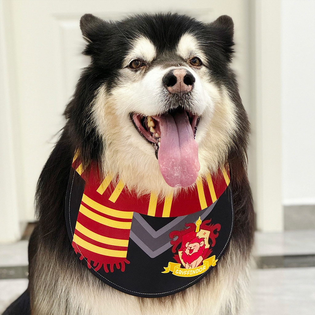 Summer Saliva King bi เตรียม สัตว์เลี้ยงสุนัขน้ําลายผ้าเช็ดตัวสามารถยืนขึ้นน้ําลาย Alaska Golden Ret