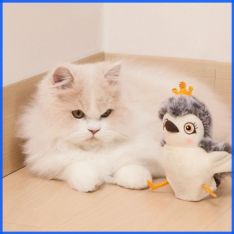 Con Cats Remote Teaser Interactive ลูกแมวของเล่นความบันเทิงการออกกําลังกายเกมแมว Interactive Play Fl