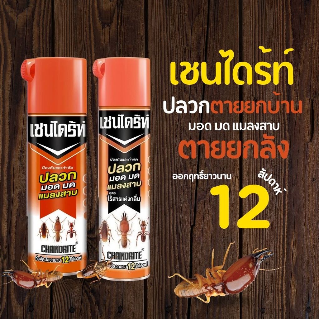 Chaindrite เชนไดร้ท์ สเปรย์ กำจัดปลวก มอด มด แมลงสาบ 600ml ของแท้100% by กำตังค์