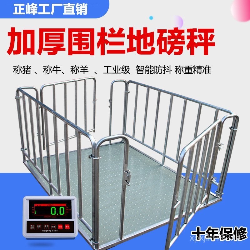 Ton Factory 5 เครื่องชั่งอิเล็กทรอนิกส์ 正 Peak Ton Scale Place Scale Tonniu 1-3 Scale Logistics Plac