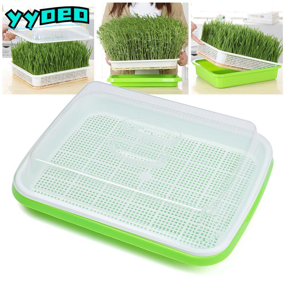 YYOEO Grow Nursery Pots Outdoor Indoor Nursery Paper Sooilless Plant Box