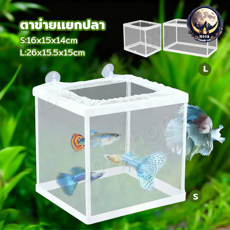 กล่องแยกปลาแบบตาข่าย กล่องเพาะพันธุ์ปลา กล่องฟักไข่ปลา