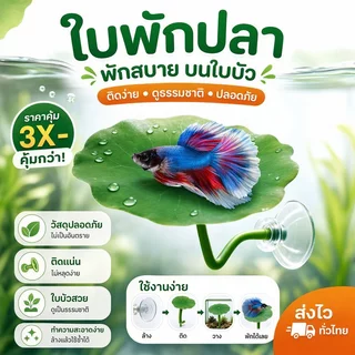 ของตกแต่งตู้ปลา ใบบัวเทียม พืชน้ำเทียม ที่หลบปลา ที่พักปลา วางไข่ปลากัด แต่งอควาเรียม