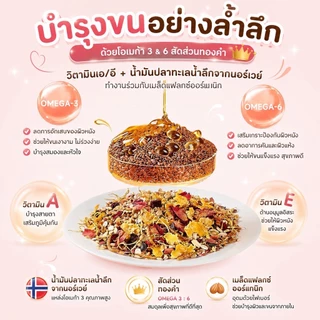 Hambit. 🐹 อาหารแฮมสเตอร์ อร่อยครบจบในถังเดียว! ✨