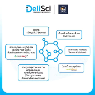 [ซองแบ่งขาย!] DeliSci [แท้💯] Adult Cat Mousse นวัตกรรมใหม่! แมวเลีย (07) โภชนาการครบถ้วน กินเป็นอาหารมื้อหลักได้ 12 g.