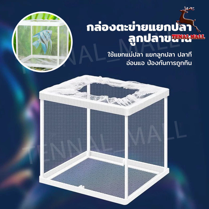กล่องตาข่ายแยกเพาะพันธุ์ปลา กุ้ง สัตว์น้ำขนาดเล็ก thumbnail 5