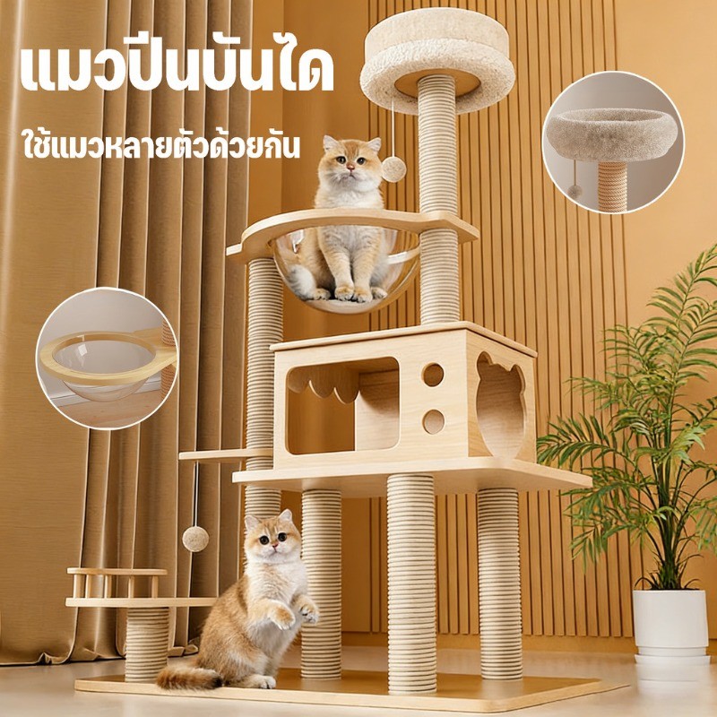 คอนโดแมวไม้ พร้อมโดมนอนแบบใส บันไดและกล่องนอน เหมาะสำหรับเลี้ยงน้องแมว 4-6ตัว เสาลับเล็บ ขนาดใหญ่