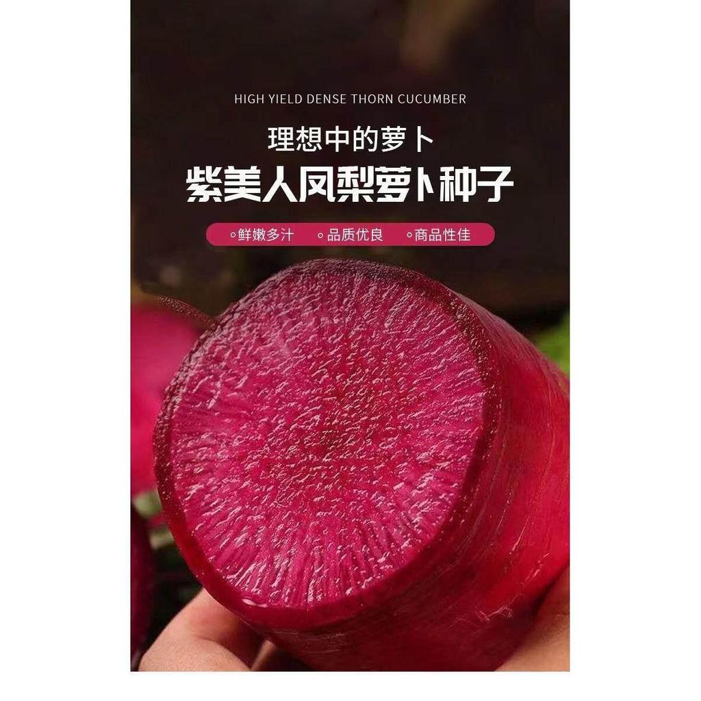 现货热卖凤梨红心水果萝卜种子红皮甜脆心里美萝卜高产生吃四季播蔬菜籽pineapple red heart fruit radish seeds red skin sweet crisp heart20
