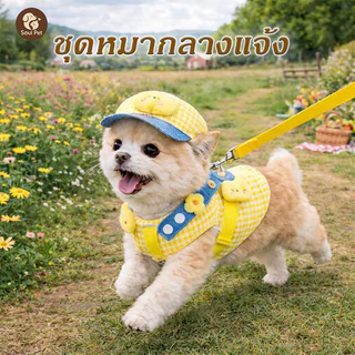 สายจูงสุนัขชุ สายจูงแมว ชุดหมาสไตล์การ์ตูนน่ารัก 3pcs กลางแจ้ง ระบายอากาศด หมวกกันแดดสัตว์เลี้ยง