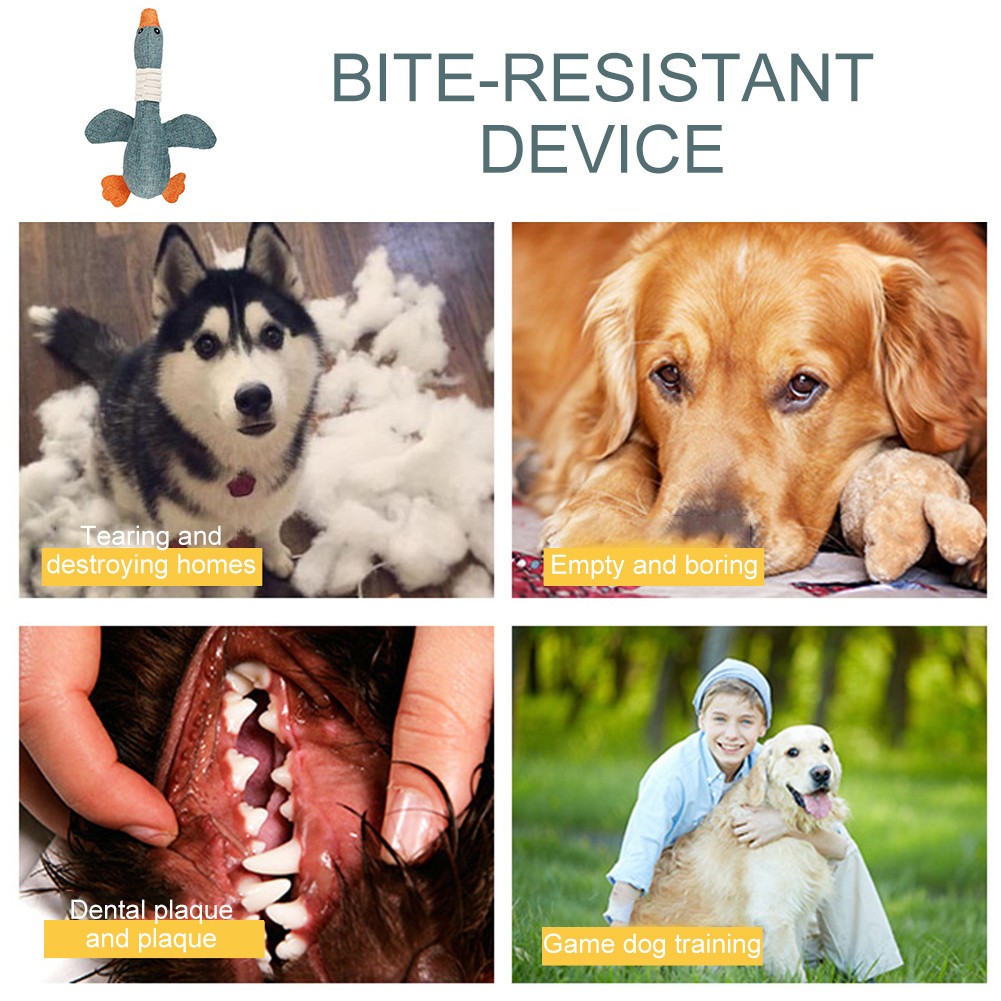 ของเล่นสุนัขห่าน ทําลายพันธุ์ใหญ่ Squeaky Geese สําหรับสุนัข แมว