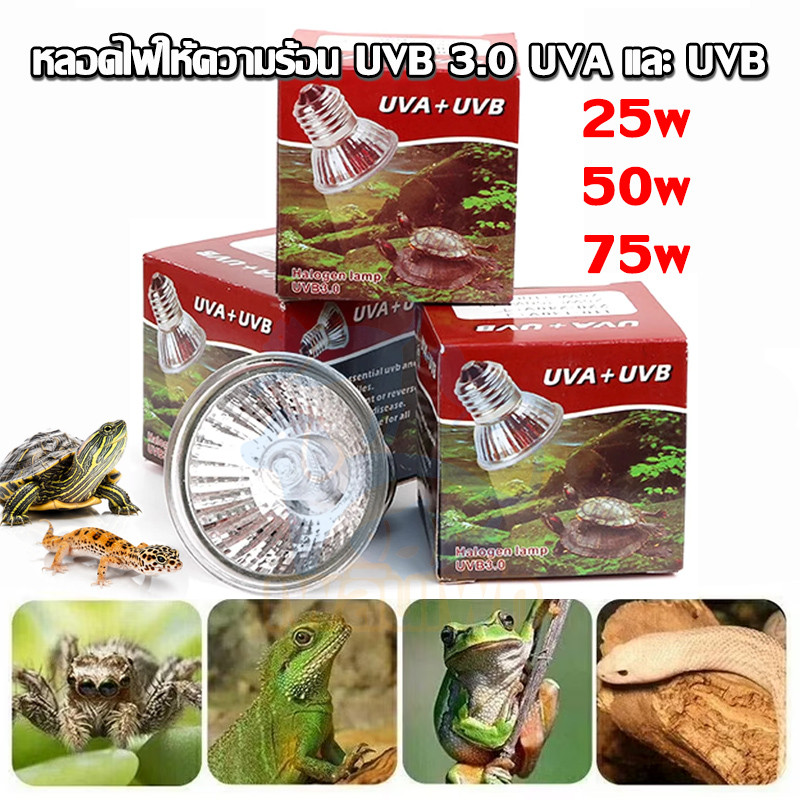 ถูก🎉Minisun หลอดไฟให้ความร้อน UVA + UVBเสริมแคลเซียม ไฟนก ไฟเต่า ไฟกิ้งก่า ใช้คู่กับขั้วหลอดไ