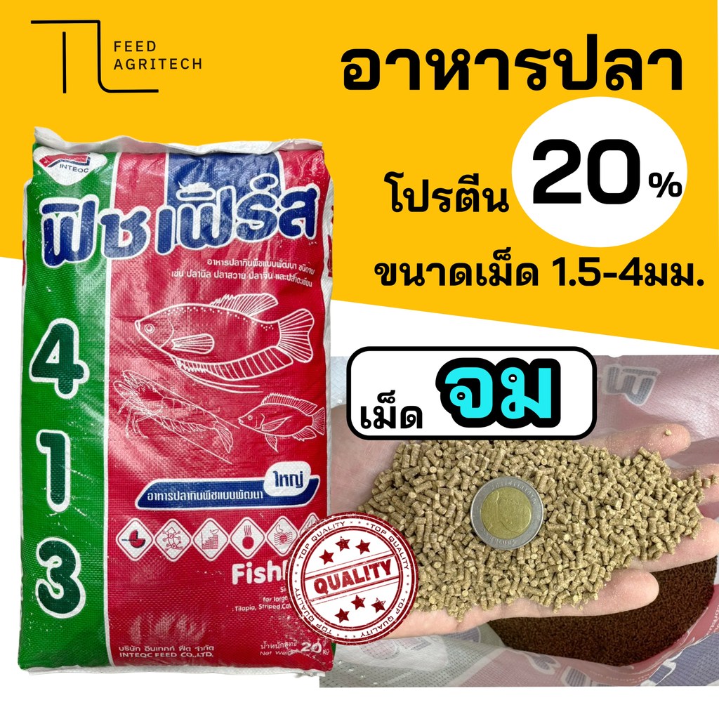 ของใหม่ พร้อมส่ง อาหารปลา เม็ดจม ฟิชเฟิร์ส 413 เม็ดใหญ่ เลี้ยงปลาก้นตู้ ปลากินเหยื่อบนพื้นดิน