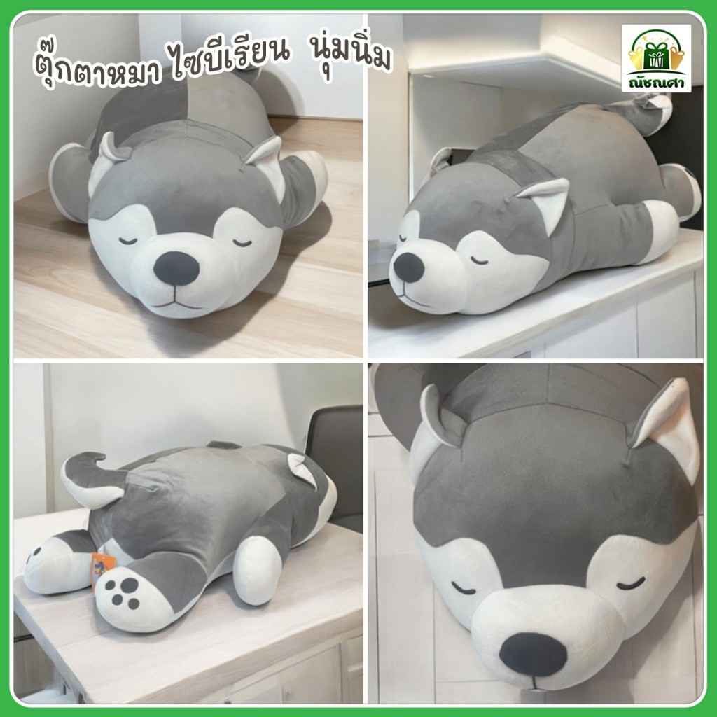 ตุ๊กตาหมาไซบีเรียน หลับตา ( ขนาด 18-25  นิ้ว ) อัดใยแน่น นุ่มนิ่ม น่ากอด ผ่านมาตราฐาน มอก. พร้อมส่ง