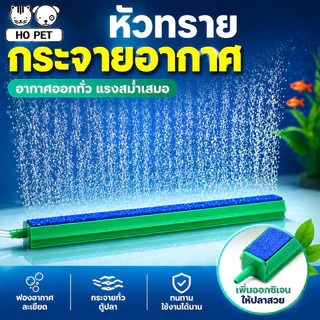 CODหัวทรายกระจายออกซิเจน ปั๊มลมหินทราย ฟองอากาศละเอียด เพิ่มออกซิเจนสำหรับตู้ปลา ใช้งานได้ดี