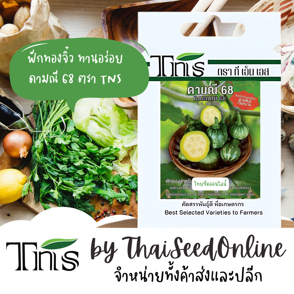 TNS(ทีเอ็นเอส) TNS เมล็ดพันธุ์แบบซองเล็ก ฟักทอง จิ๋ว ดามณี68 ตรา ที เอ็น เอส Baby Pumpkin
