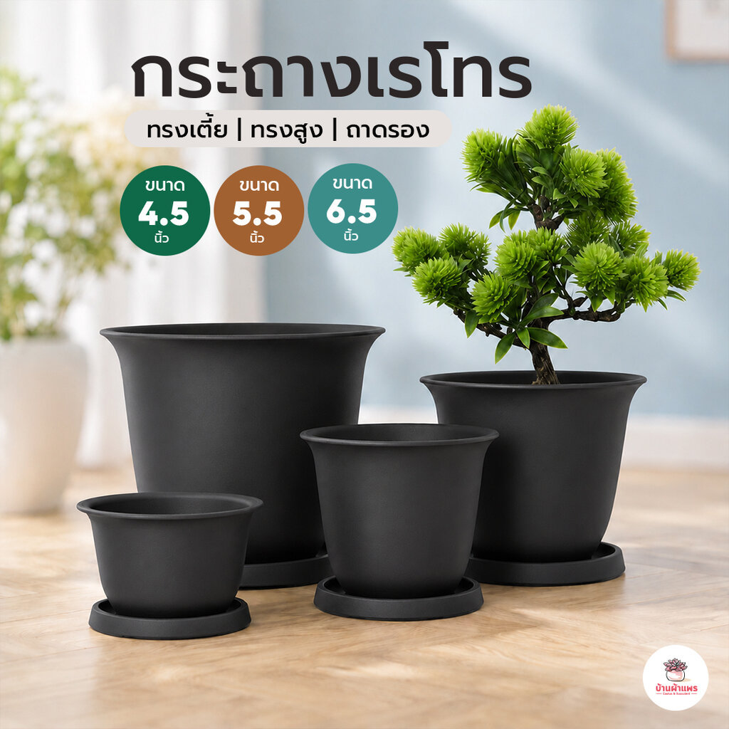 [ Telsly ] กระถางเรโทร กระถางพลาสติก แคคตัส กระบองเพชร ไม้อวบน้ำ Cactus&Succulent