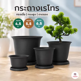 [ Telsly ] กระถางเรโทร กระถางพลาสติก แคคตัส กระบองเพชร ไม้อวบน้ำ Cactus&Succulent