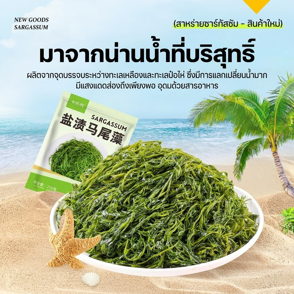 สาหร่ายดอกไม้ไฟ (Sargassum) ตัวดังดองเกลือ เกรดพรีเมียม กรอบเด้งสู้ฟัน เหมาะทำยำและหม่าล่า (ขนาด 250g)
