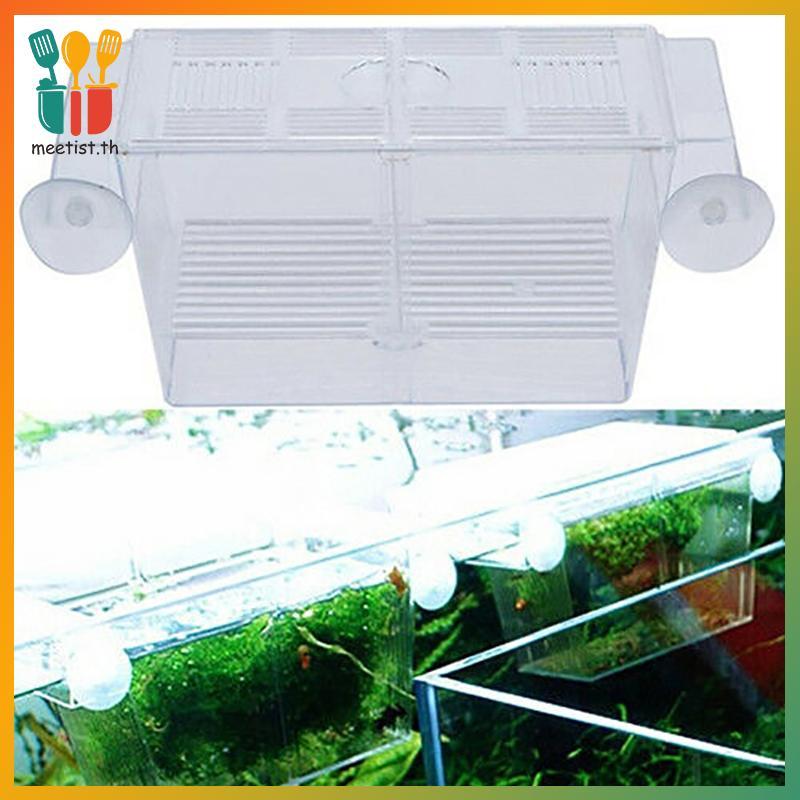 MEET Aquarium Fish Tank Guppy Double Breeding Breeder Rearing Trap Box Hatchery TH