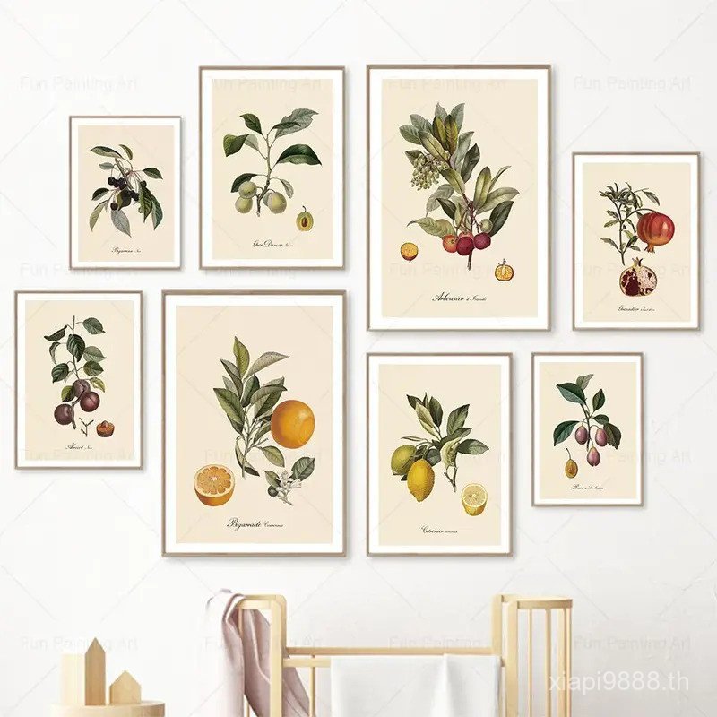 Retro พฤกษศาสตร์ผลไม้มะนาวพรุนสีส้ม Vintage โปสเตอร์และพิมพ์ Wall Art ภาพวาดผ้าใบภาพผนังตกแต่งห้องคร