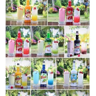 น้ำผลไม้เข้มข้น ติ่งฟง ขนาด760มล.