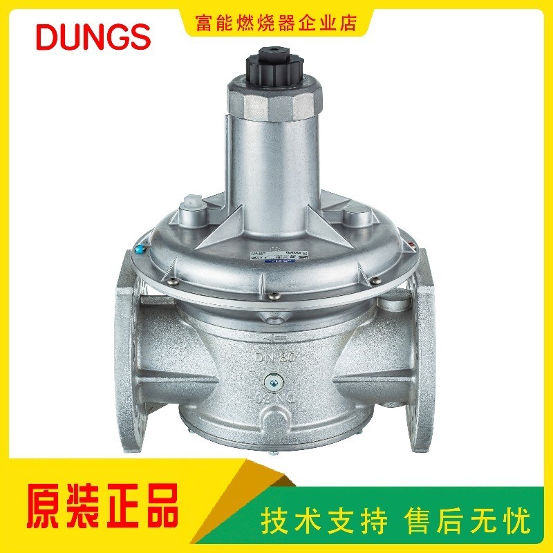 DUNGS Winter FRS510 FRS520 FRS5065 FRS5080 FRS5100 วาล์วลดแรงดันแก๊ส