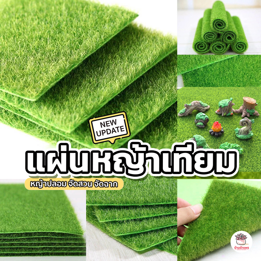 แผ่นหญ้าเทียม หญ้าปลอม จัดสวน จัดฉาก แคคตัส กระบองเพชร cactus&succulent