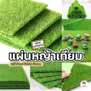 แผ่นหญ้าเทียม หญ้าปลอม จัดสวน จัดฉาก แคคตัส กระบองเพชร cactus&succulent