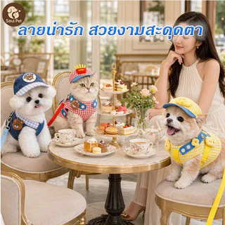 สายจูงสุนัขชุ สายจูงแมว ชุดหมาสไตล์การ์ตูนน่ารัก 3pcs กลางแจ้ง ระบายอากาศด หมวกกันแดดสัตว์เลี้ยง