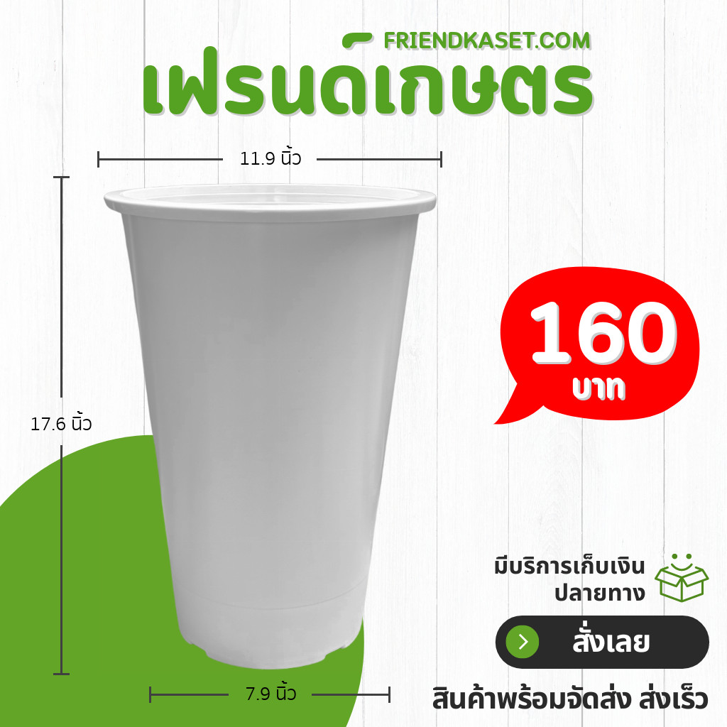 กระถาง กระถางต้นไม้ กลมทรงสูง โมเดิร์น ขนาด 15 นิ้ว ขั้นต่ำ 2 ใบ ชิ้น อัน ราคา ถูกที่สุด ดีลบีเคเค แกลเลอรีภาพที่ 3