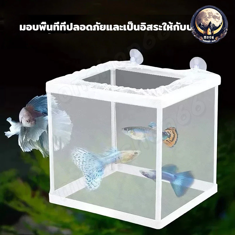 กล่องแยกปลาแบบตาข่าย กล่องเพาะพันธุ์ปลา กล่องฟักไข่ปลา thumbnail 3