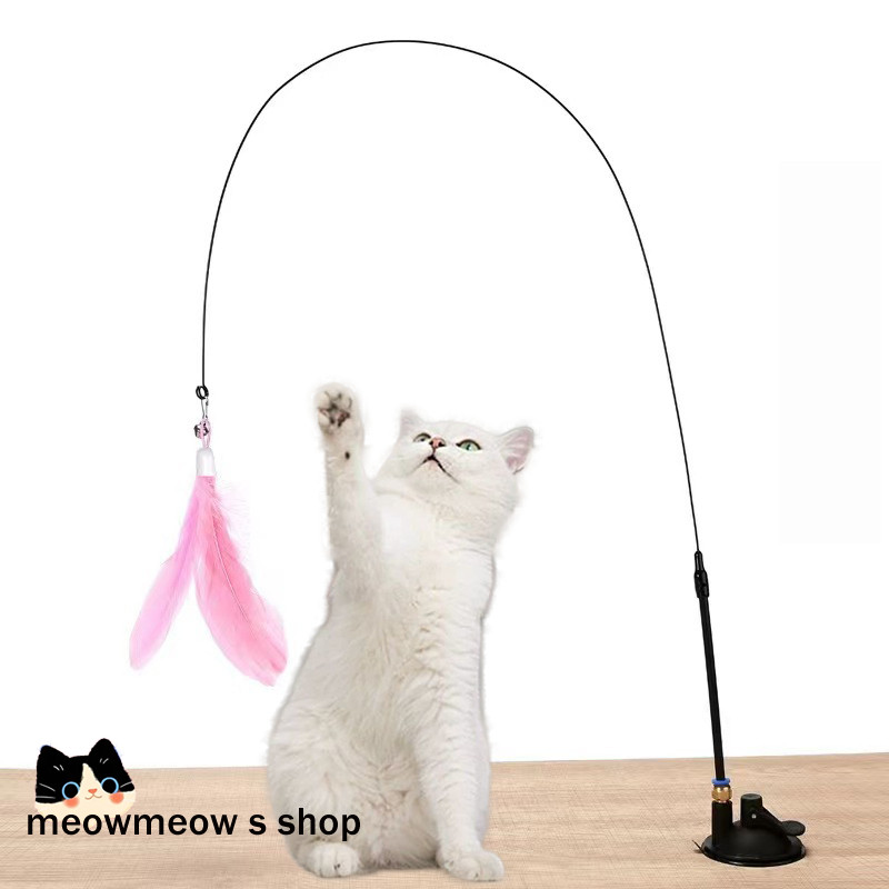 รูปภาพ 8