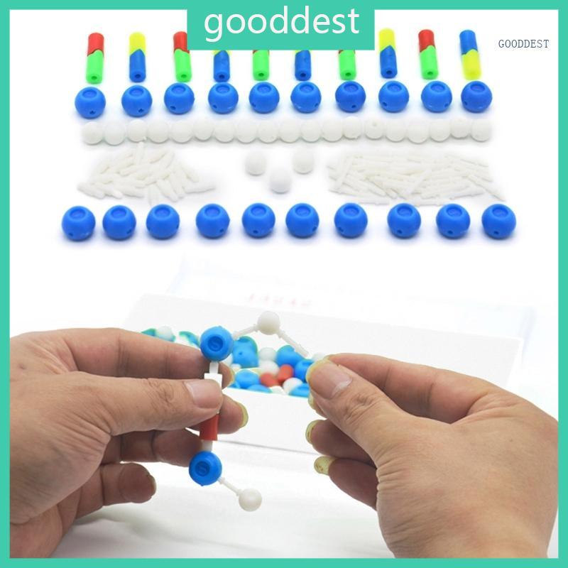GOO DNA Double Helix Model โมเดลเครื่องดนตรีโมเดล DNA ที่ใช้งานได้จริงสําหรับโรงเรียน
