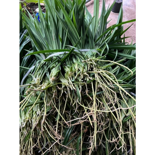 มุมมอง 4