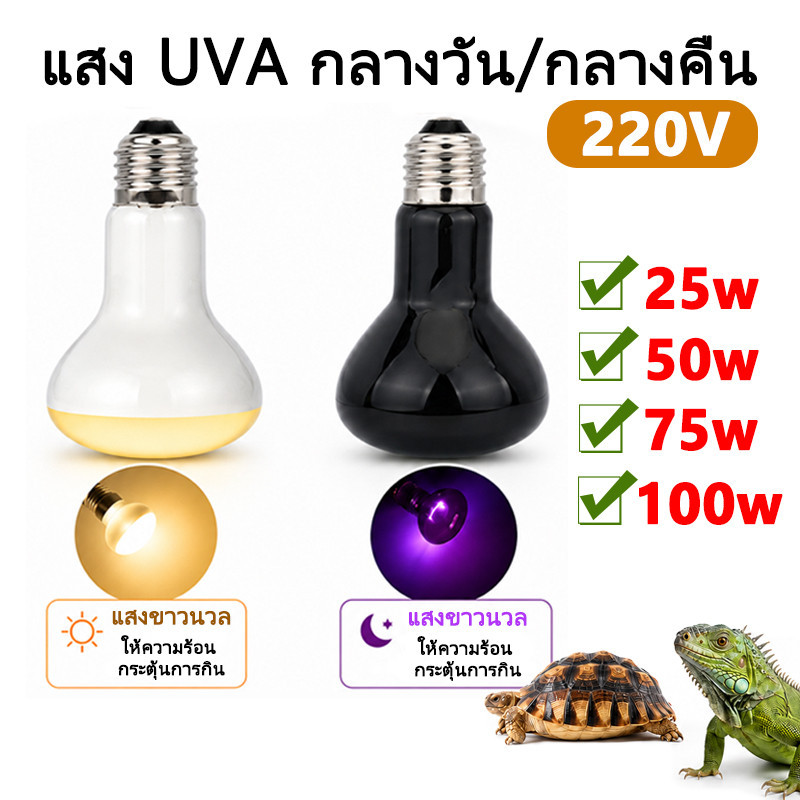 หลอดไฟ UVA ให้ความร้อน กลางวันกลางคืน สำหรับสัตว์เลื้อยคลาน 220V 25-100W ใช้กับกิ้งก่า งู เต่า ตุ๊กแก