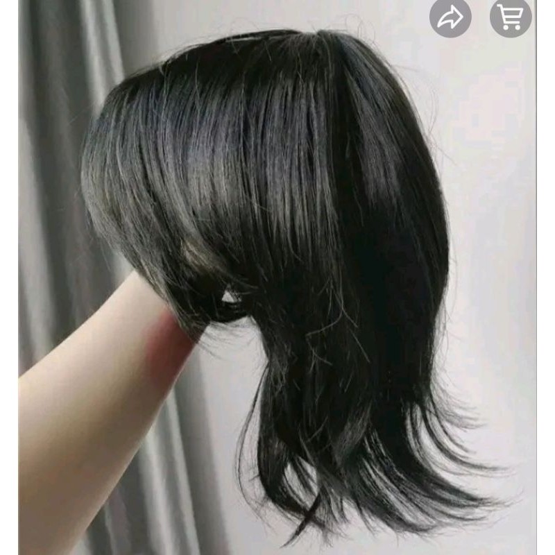 【จัดส่งภายใน 3 วัน】 ผู้ชาย LONG MULLET HAIR WIG KUNCIR