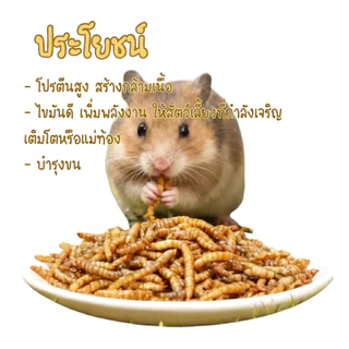 Hamster.lover หนอนนกอบแห้ง 5g โปรตีนสูง เสริมกล้ามเนื้อ บำรุงขน สำหรับแฮมสเตอร์ ชูการ์กลายเดอร์ เม่นแคระ นก