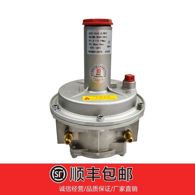 วาล์วควบคุมความดันแก๊ส MADAGAS RG/2MC RC04 - สำหรับหัวเผาและระบบท่อ