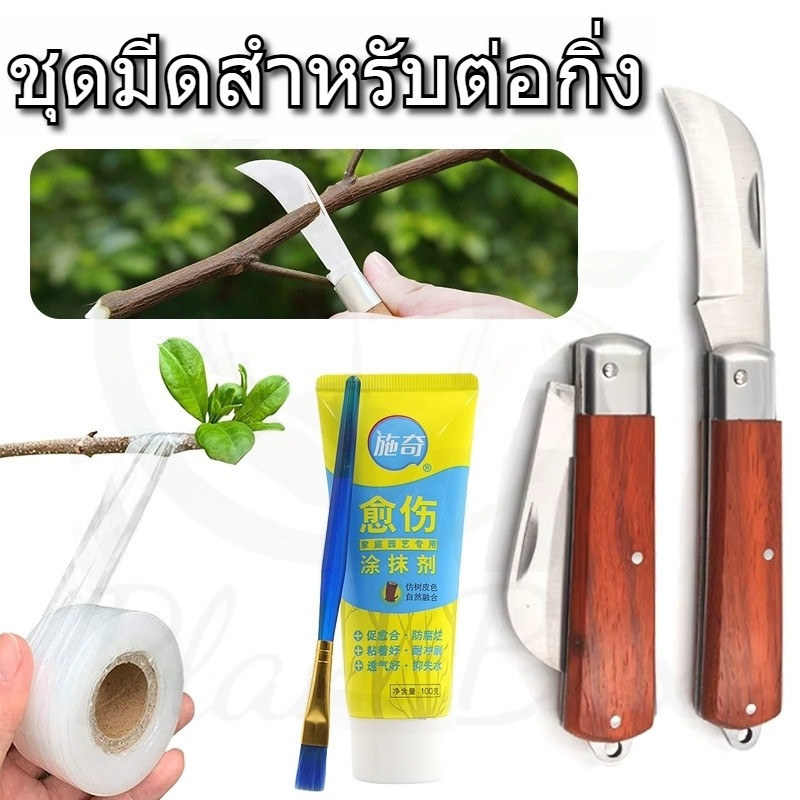 มีดตอนกิ่ง ชุดมีดต่อกิ่ง 4-in-1 สำหรับงานเกษตร ทำกิ่งพันธุ์ ปลูกต้นไม้ ส่งไว(ส่งจากไทย)