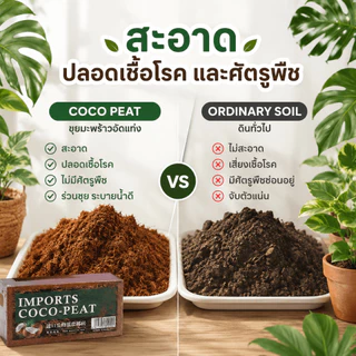 NikiHome ขุยมะพร้าวอัดก้อน เกรดพรีเมียม (Coco Coir Brick) 100% ขุยมะพร้าวอัดก้อน สำหรับปลูกต้นไม้ พองตัวเร็ว